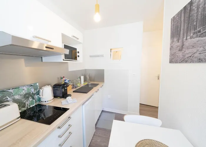 Appartunique - Chez Majorelle Lejlighed Vichy