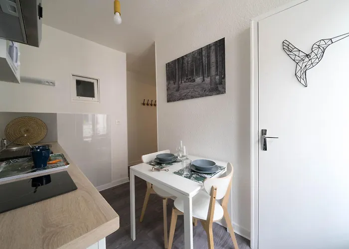 Lejlighed Appartunique - Chez Majorelle Vichy